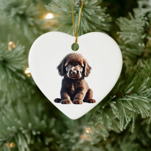 Adorno De Cerámica Cachorro Personalizado de Spaniel de Agua Irlandés