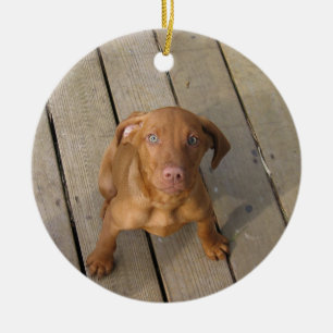 Adorno De Cerámica cachorro vizsla