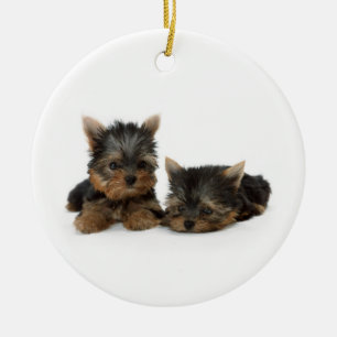 Adorno De Cerámica Cachorros de Cute Yorkshire Terrier