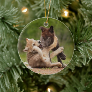 Adorno De Cerámica Cachorros de Lobo Gris Luchando