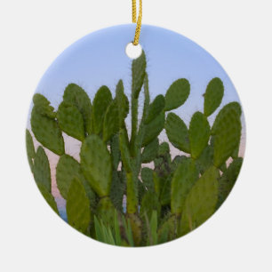 Adorno De Cerámica Cacti y sisal en el bosque seco