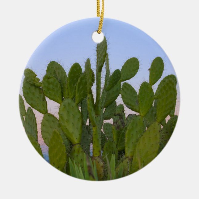 Adorno De Cerámica Cacti y sisal en el bosque seco (Frente)