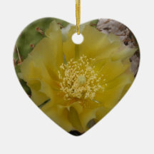 Cactus Amarillo en Flor