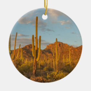 Adorno De Cerámica Cactus saguaro al atardecer, Arizona