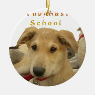 Adorno De Cerámica Cada perro tiene iTS DAY Hakuna Matata Felices día