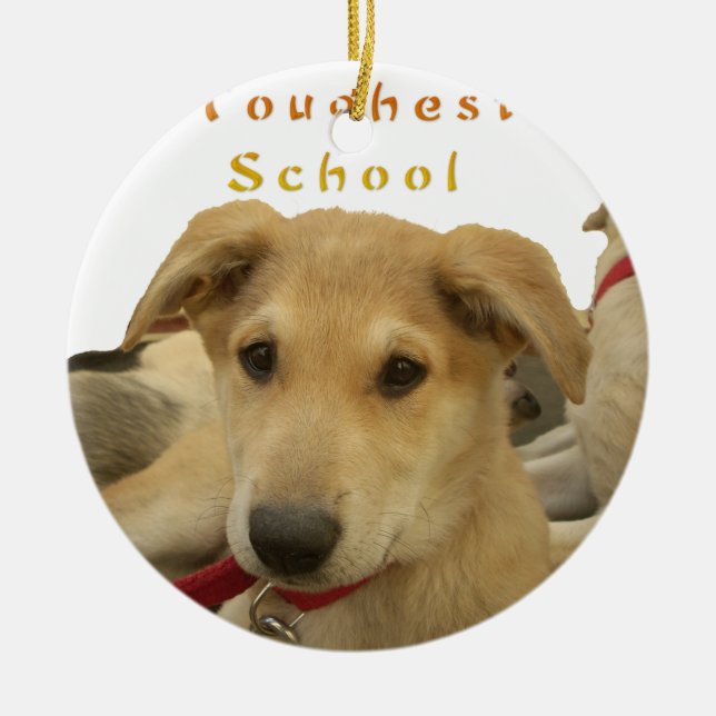 Adorno De Cerámica Cada perro tiene iTS DAY Hakuna Matata Felices día (Frente)