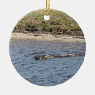 Adorno De Cerámica Caimán americano nadando en un río pantanoso  