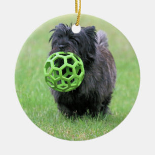 Adorno De Cerámica Cairn terrier
