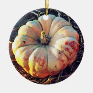 Adorno De Cerámica Calabaza Rústica