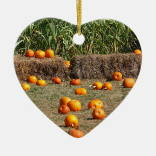 Adorno De Cerámica Calabazas, maíz y heno Fotografía de la cosecha de