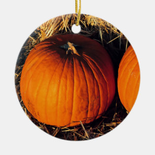 Adorno De Cerámica Calabazas Vintage Gemelas