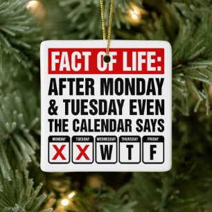 Adorno De Cerámica Calendario de Hechos de la Vida Dice Humor WTF
