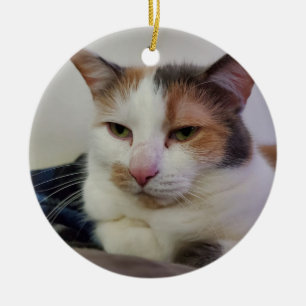 Adorno De Cerámica Calico cat