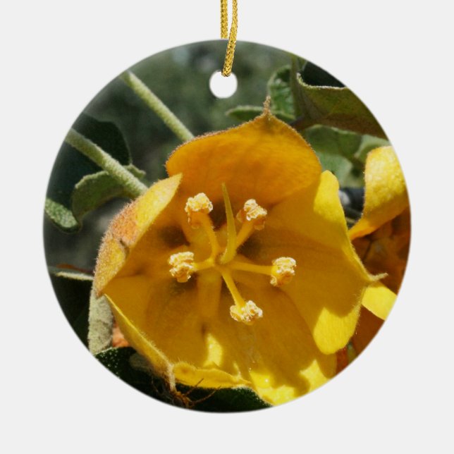 Adorno De Cerámica California Flannel Bush (Frente)