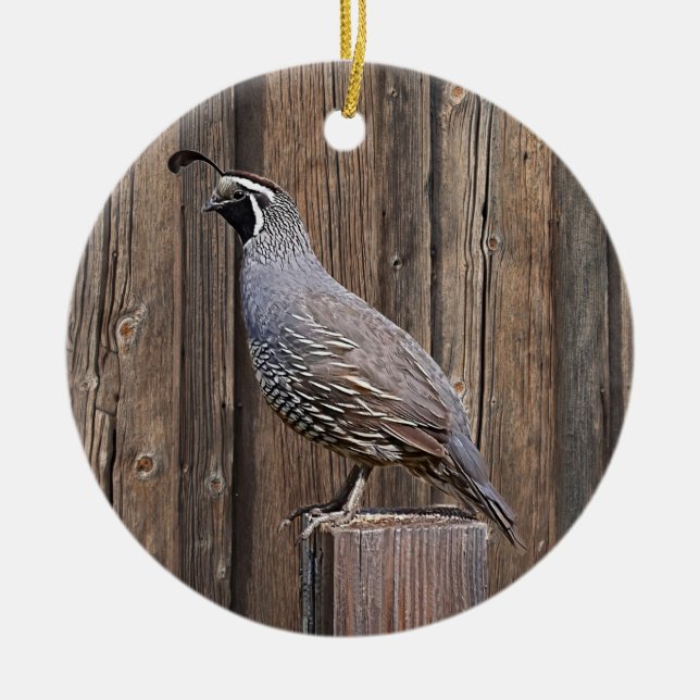 ADORNO DE CERÁMICA CALIFORNIA QUAIL EN BARNBOTE (Frente)