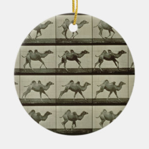 Adorno De Cerámica Camello, placa de la "locomoción animal", 1887