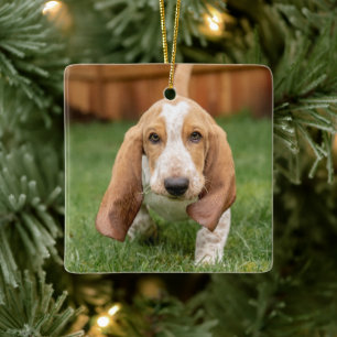 Adorno De Cerámica Caminata de cachorros de Basset Houng