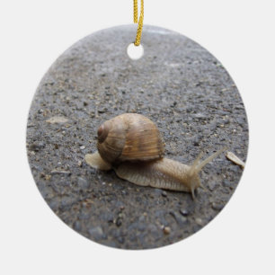 Adorno De Cerámica caminata de caracol