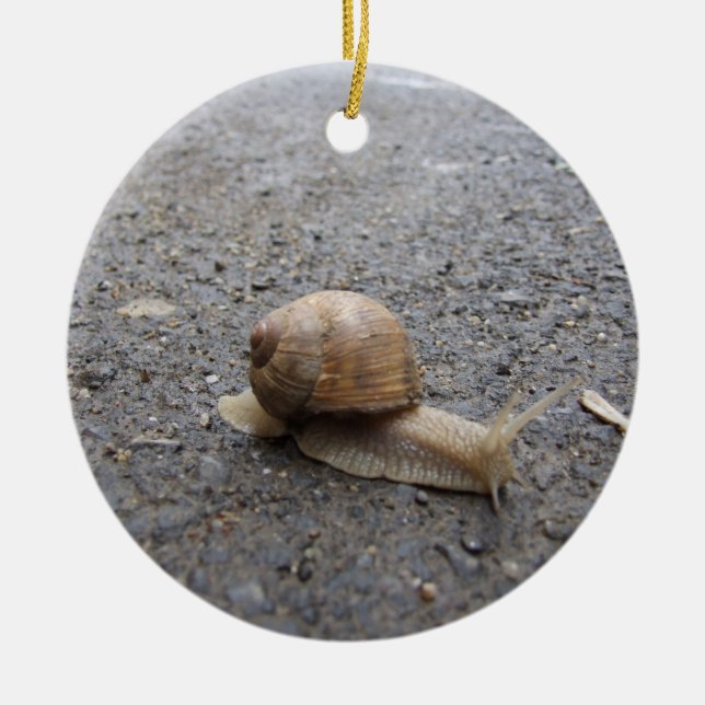Adorno De Cerámica caminata de caracol (Frente)