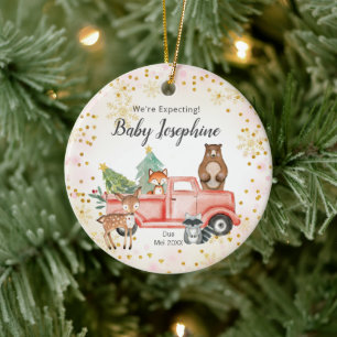 Adorno De Cerámica Camión de Snowflake Woodland que esperamos ser pad