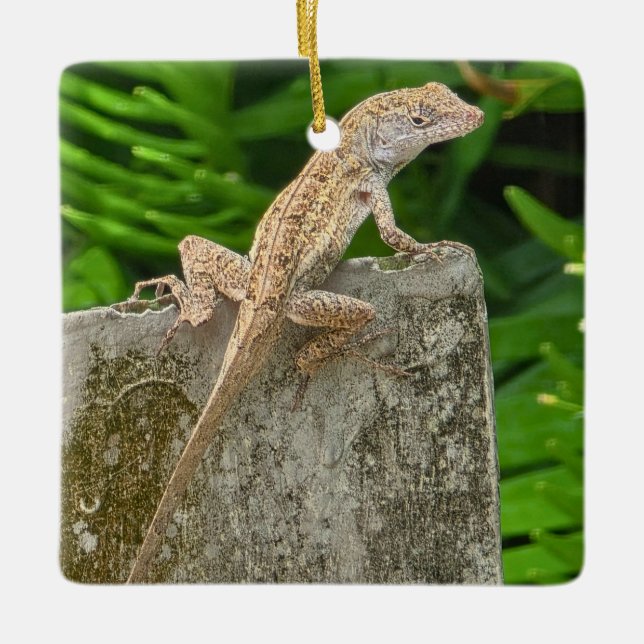 Adorno De Cerámica Camouflage Master (Anverso)