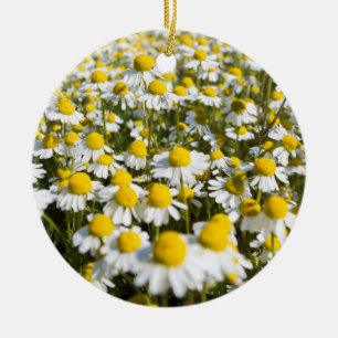 Adorno De Cerámica Campo Chamomile, Hungría