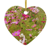 Campo De Flores Rosa