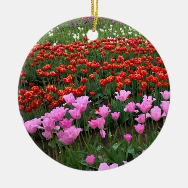 Adorno De Cerámica Campo de tulipanes rosados y rojos, Oregón (Frente)