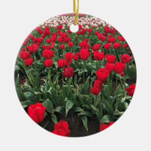 Adorno De Cerámica Campo Tulipán Rojo, Oregón