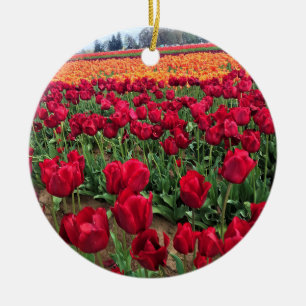Adorno De Cerámica Campo Tulipán rojo y Naranja, Oregón