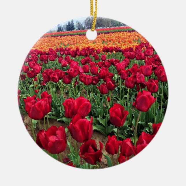 Adorno De Cerámica Campo Tulipán rojo y Naranja, Oregón (Frente)