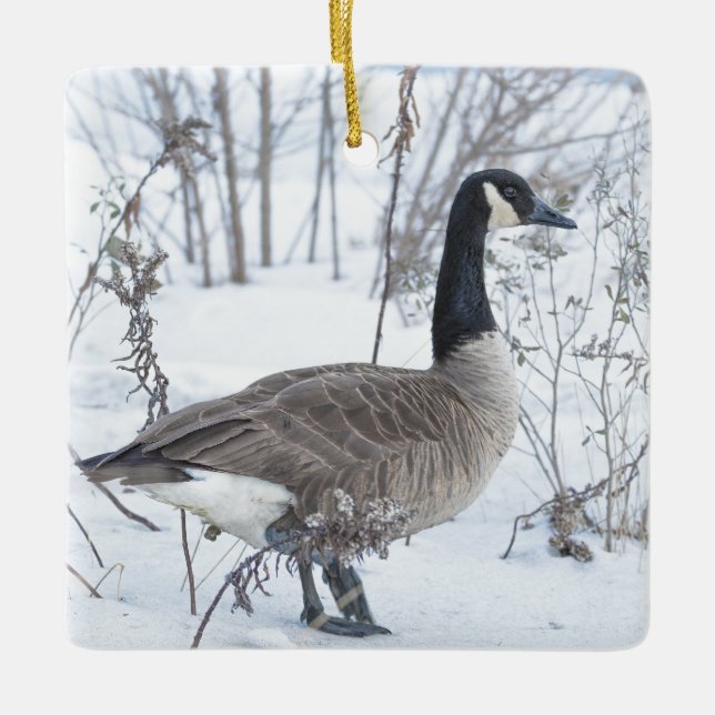Adorno De Cerámica Canada Goose in Snow Ornament (Anverso)