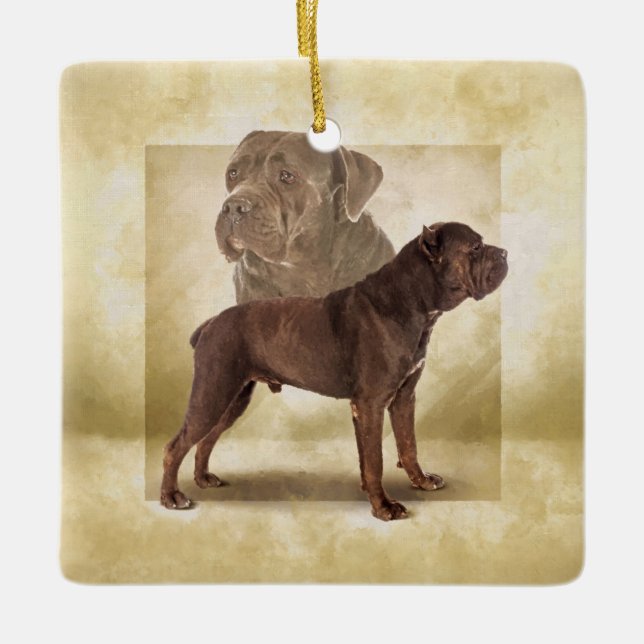 Adorno De Cerámica Cane Corso - Mastiff Italiana (Anverso)