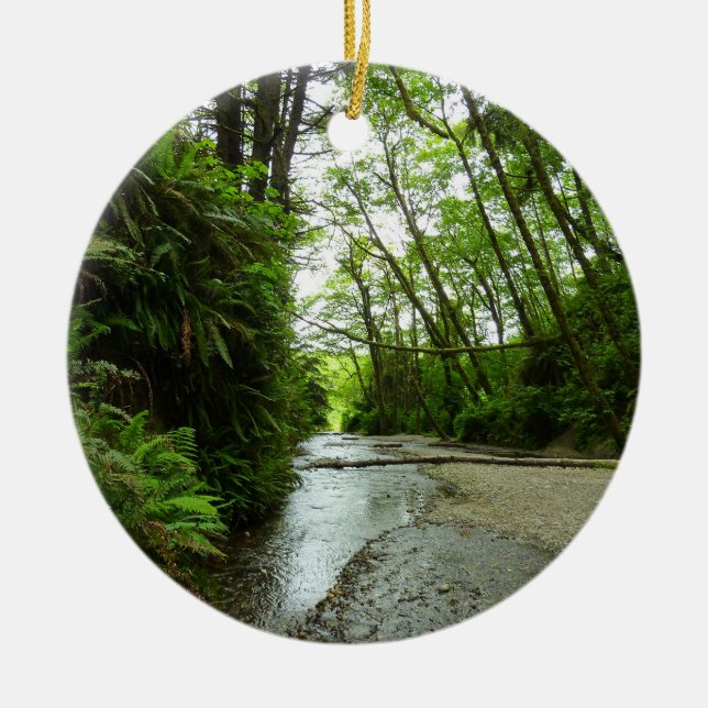 Adorno De Cerámica Cañón Fern II en el Parque Nacional Redwood (Frente)