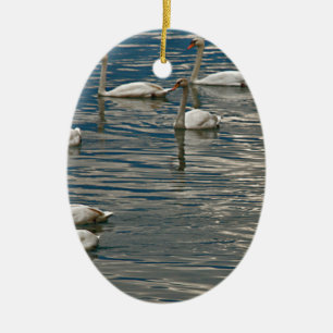 Adorno De Cerámica Canto de Cisne