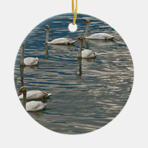 Adorno De Cerámica Canto del cisne