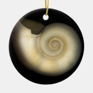 Adorno De Cerámica Capa - Conquiliología - Nautilus
