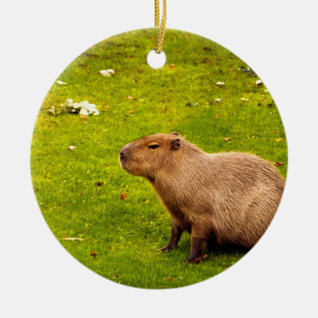 Adorno De Cerámica Capibara (Frente)