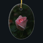 Adorno De Cerámica Capullo de rosa rosado<br><div class="desc">Capullo de rosa rosado hermoso en fondo verde oscuro. Fotografía.</div>