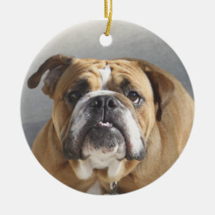 Adorno De Cerámica Cara de bulldog - Bulldog inglés, marrón