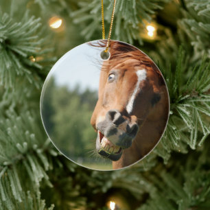 Adorno De Cerámica Cara de caballo divertida con labios curvados, ojo