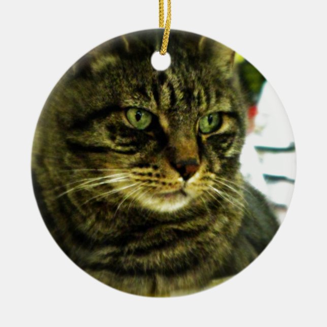 Adorno De Cerámica Cara de Tabby con ojos verdes (Frente)