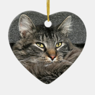 Adorno De Cerámica Cara del gato Maine Coon