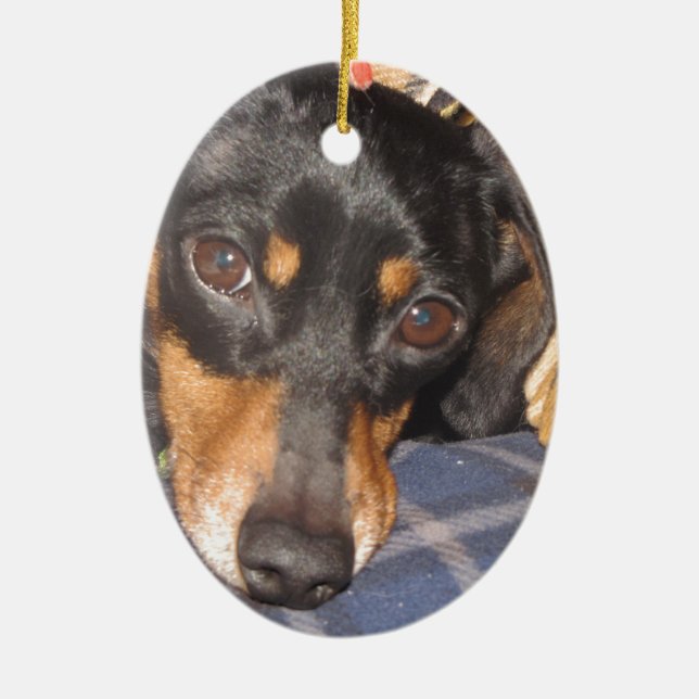 Adorno De Cerámica Cara del perro de Daschund Weener (Frente)
