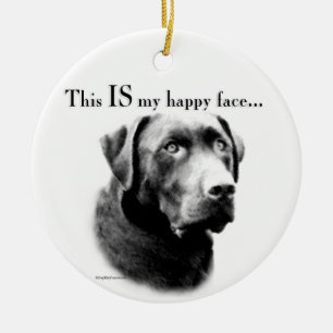 Adorno De Cerámica Cara feliz de laboratorio