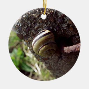 Adorno De Cerámica caracol