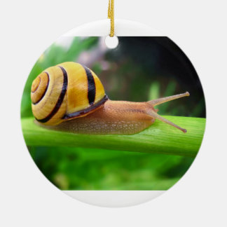 Adorno De Cerámica Caracol labiado de la arboleda de Cepaea Nemoralis