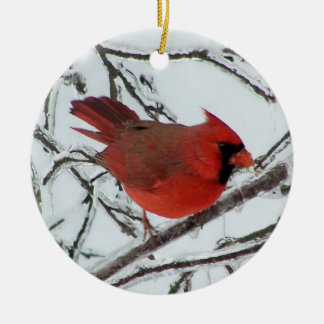 Adorno De Cerámica Cardenal de Coventry