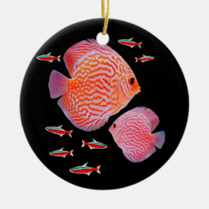 Adorno De Cerámica Cardenal de Discus Tetras Aquarium Fish Tank Lover
