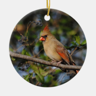 Adorno De Cerámica Cardenal de sexo femenino 4